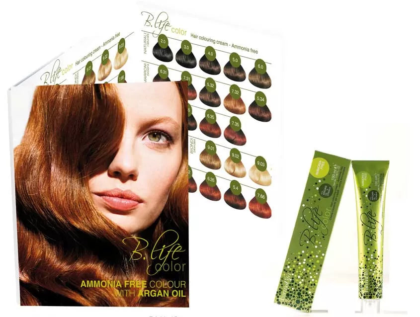 B-Life Nuancier 45 Mèchet.Color  2013-12  Fvita