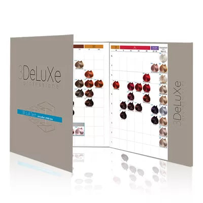 3DeLuxe Nuancier 100 mechetes