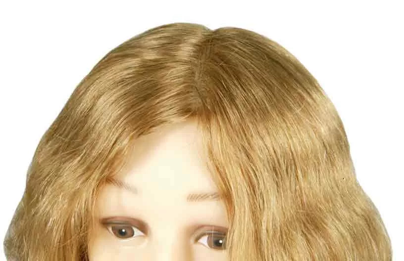 Head July Av epaul. Chev9 30/35Cms