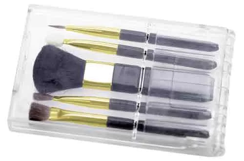Makeup Brush Set, Small, 5 Pieces, Deplix Case and Bag