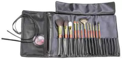 Esthetiq Integral Pro-2 Kit with 12 Brushes