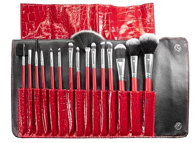 DOUCYNYL makeup brushes, set of 15 assorted brushes