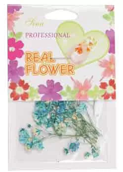 Blue Flowers Nail Art - IB