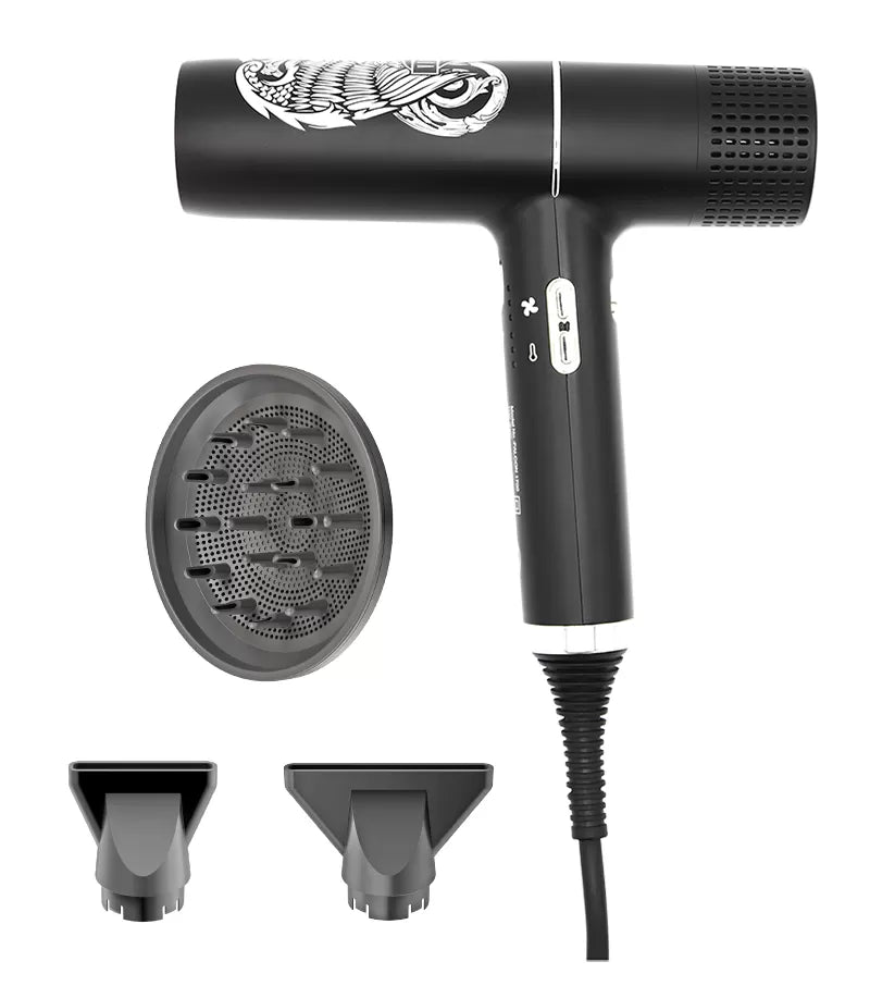 Sechoir FALCON 1700 Victorius 1800 watts