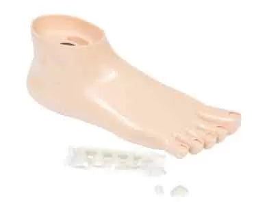 Pied Training Pedicurie Avec Faux Ongles