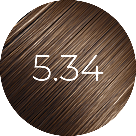 https://cdn.shopify.com/s/files/1/0849/0457/5309/files/5.34.png?v=1733843333
