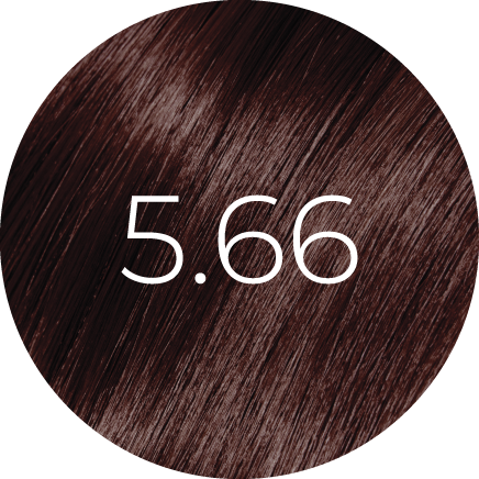 https://cdn.shopify.com/s/files/1/0849/0457/5309/files/5.66_f02a073e-8acd-4e9b-8f65-e91f3e249c9f.png?v=1736593652
