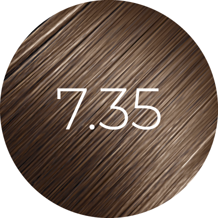 https://cdn.shopify.com/s/files/1/0849/0457/5309/files/7.35_1.png?v=1733844243