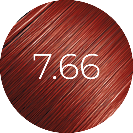 https://cdn.shopify.com/s/files/1/0849/0457/5309/files/7.66_1.png?v=1733844503