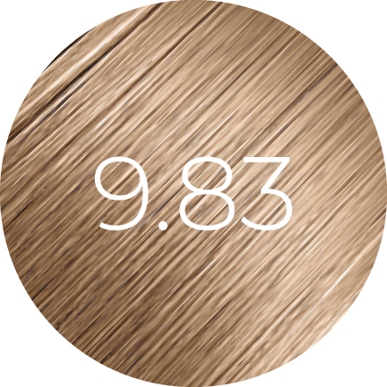 https://cdn.shopify.com/s/files/1/0849/0457/5309/files/9.83_3.png?v=1733845600