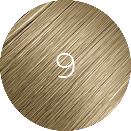https://cdn.shopify.com/s/files/1/0849/0457/5309/files/9_1.png?v=1733844927