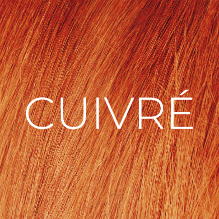 https://cdn.shopify.com/s/files/1/0849/0457/5309/files/CUIVRE_1.png?v=1736598906