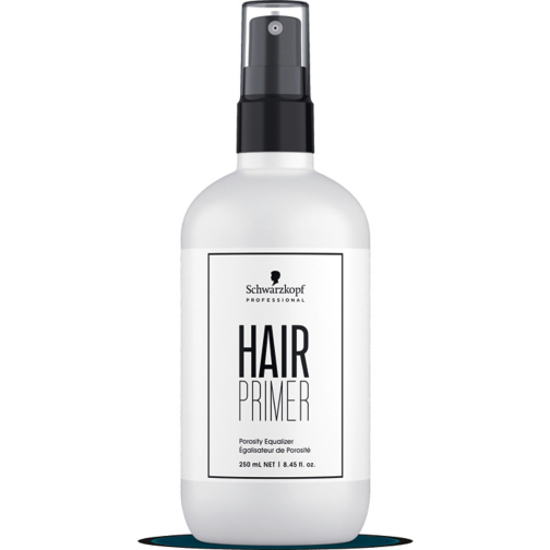 https://cdn.shopify.com/s/files/1/0849/0457/5309/files/SKP_2020_06_CER_Hair_Primer__HighRes_RGB.png?v=1736601474