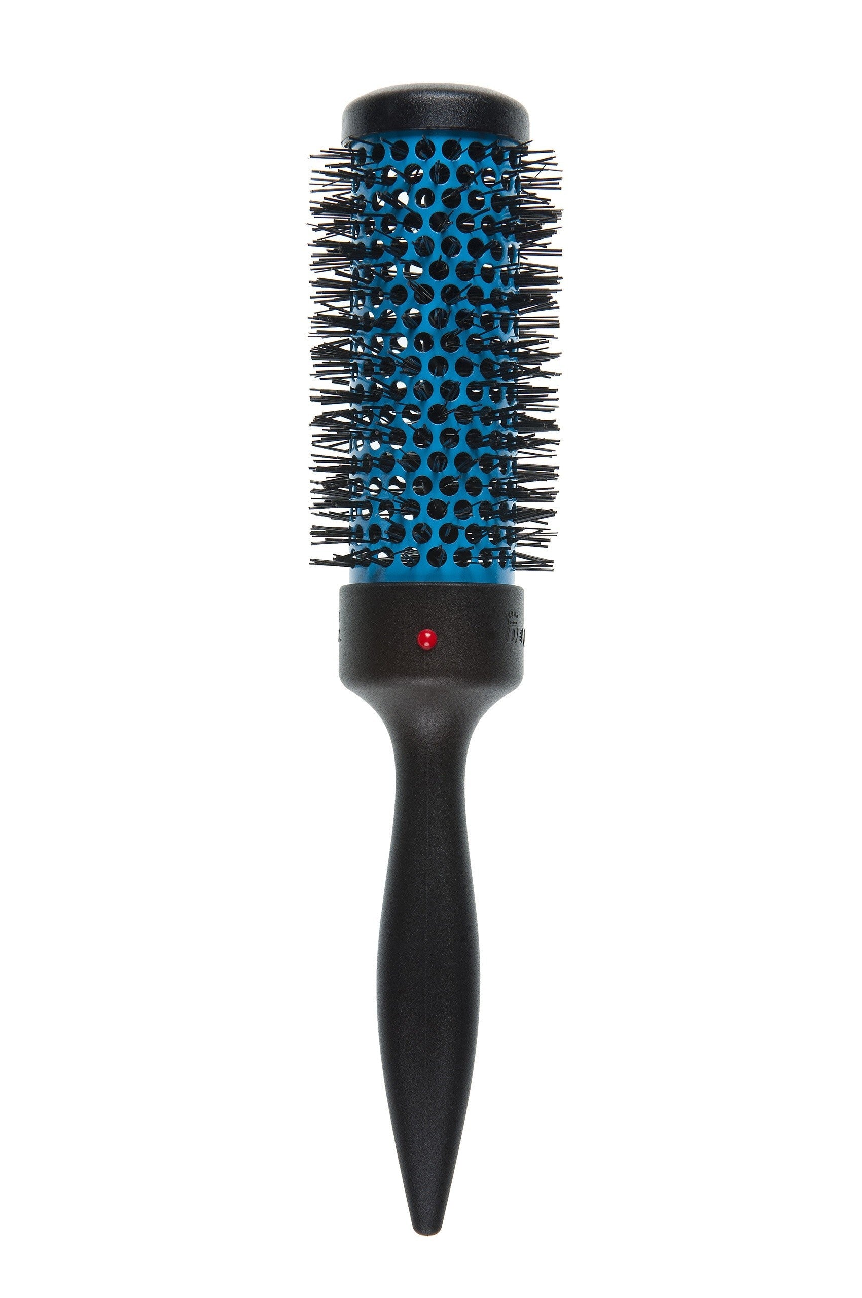 https://cdn.shopify.com/s/files/1/0849/0457/5309/files/brosse-ronde-professionnelle-neon-bleue-denman-38-mm.jpg?v=1733826748